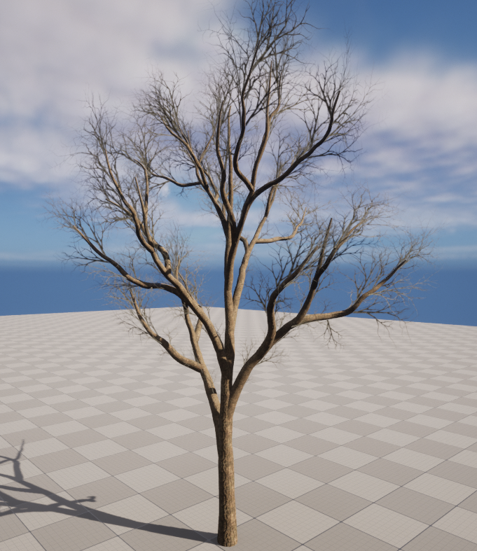 Final Tree Output